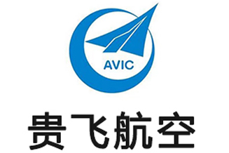 贵飞航空